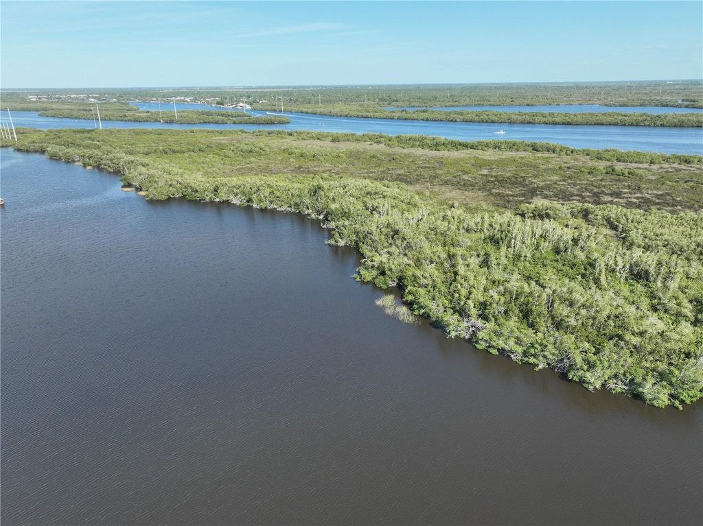 Photo of 2291 Delan Drive, Punta Gorda, FL 33983 (MLS # O6366962)