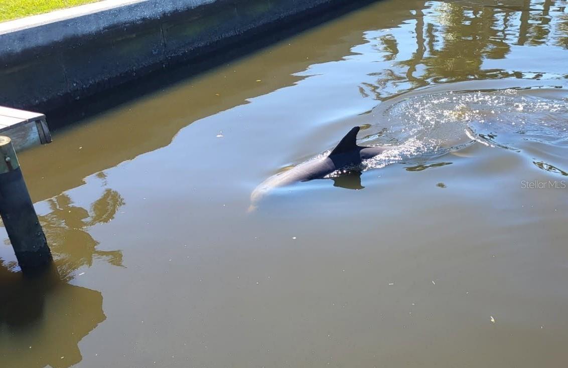 REPLAT OF BONAIRE BAYOU - Residential