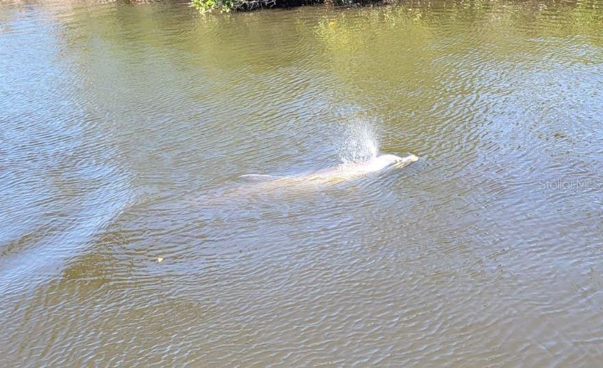 REPLAT OF BONAIRE BAYOU - Residential