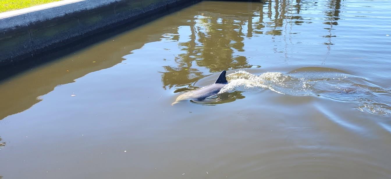 REPLAT OF BONAIRE BAYOU - Residential