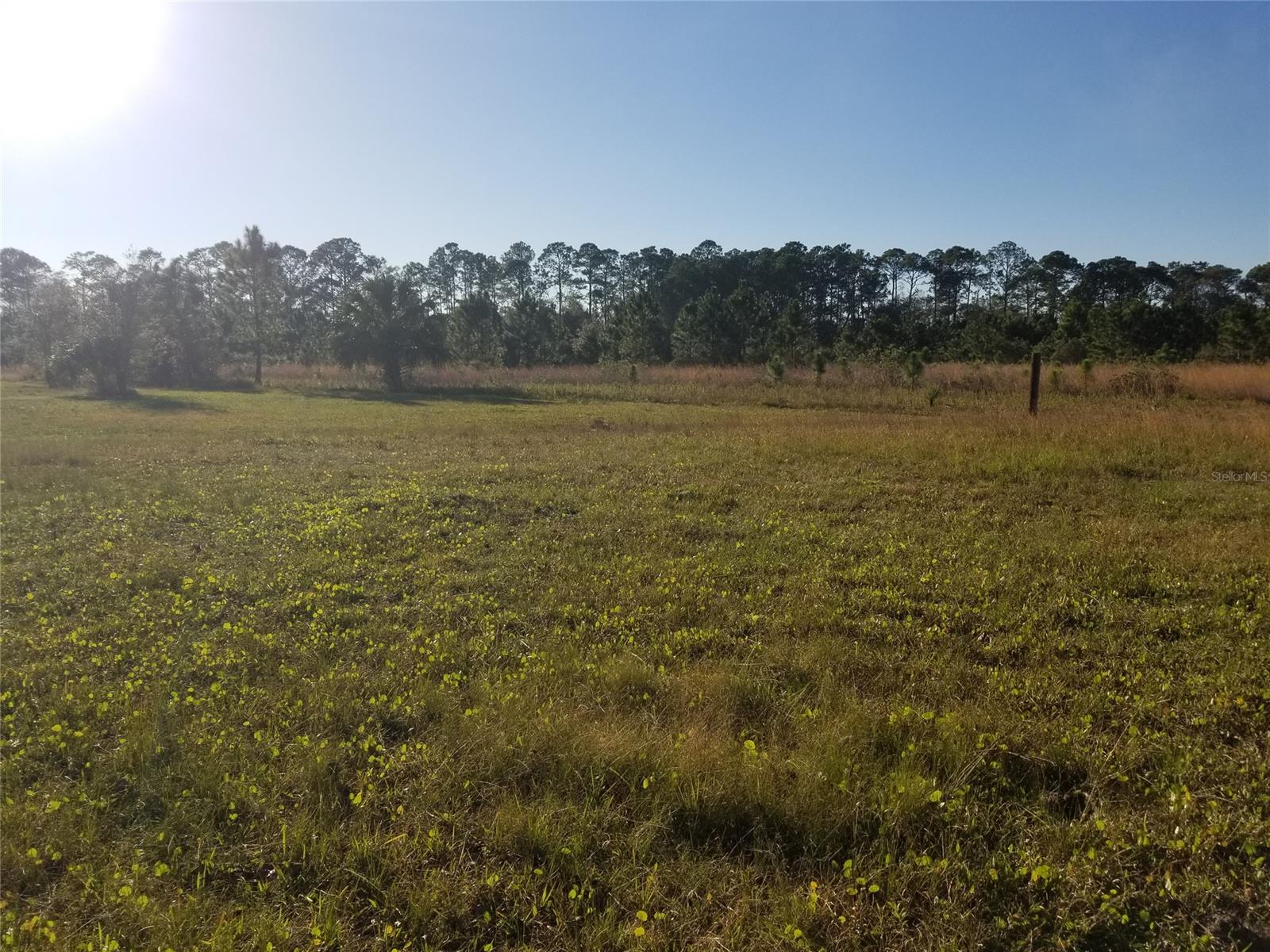 Howe & Curriers Allotment Sub - Land