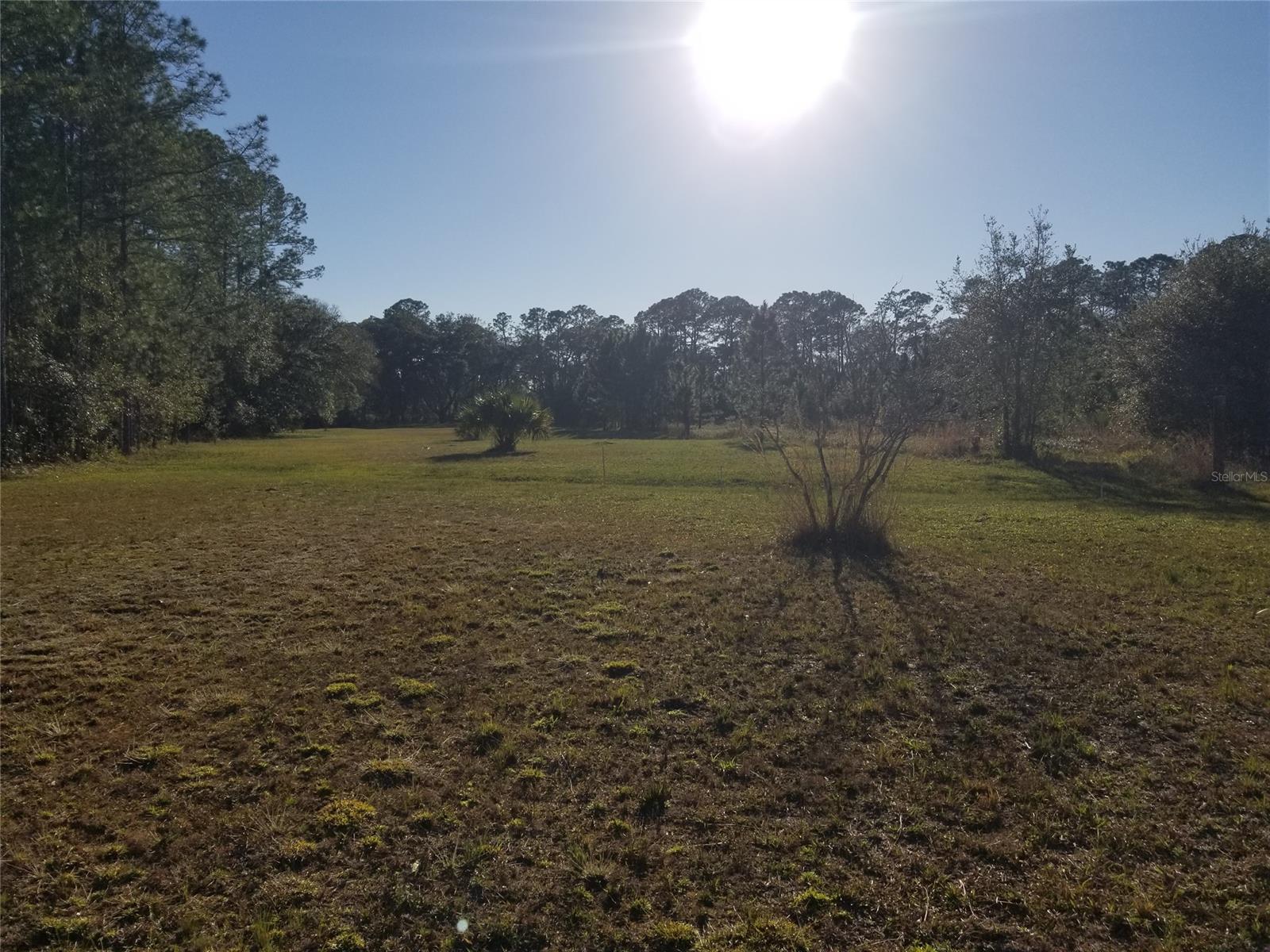 Howe & Curriers Allotment Sub - Land