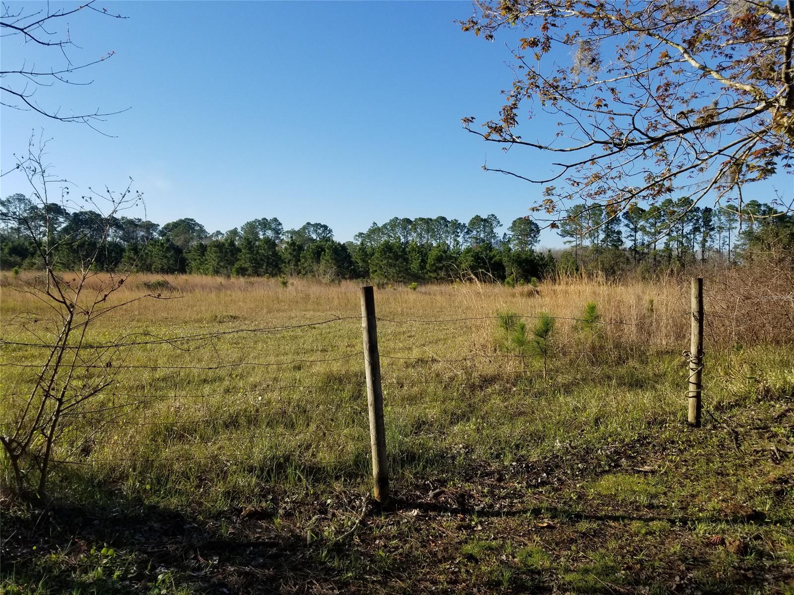 Howe & Curriers Allotment Sub - Land