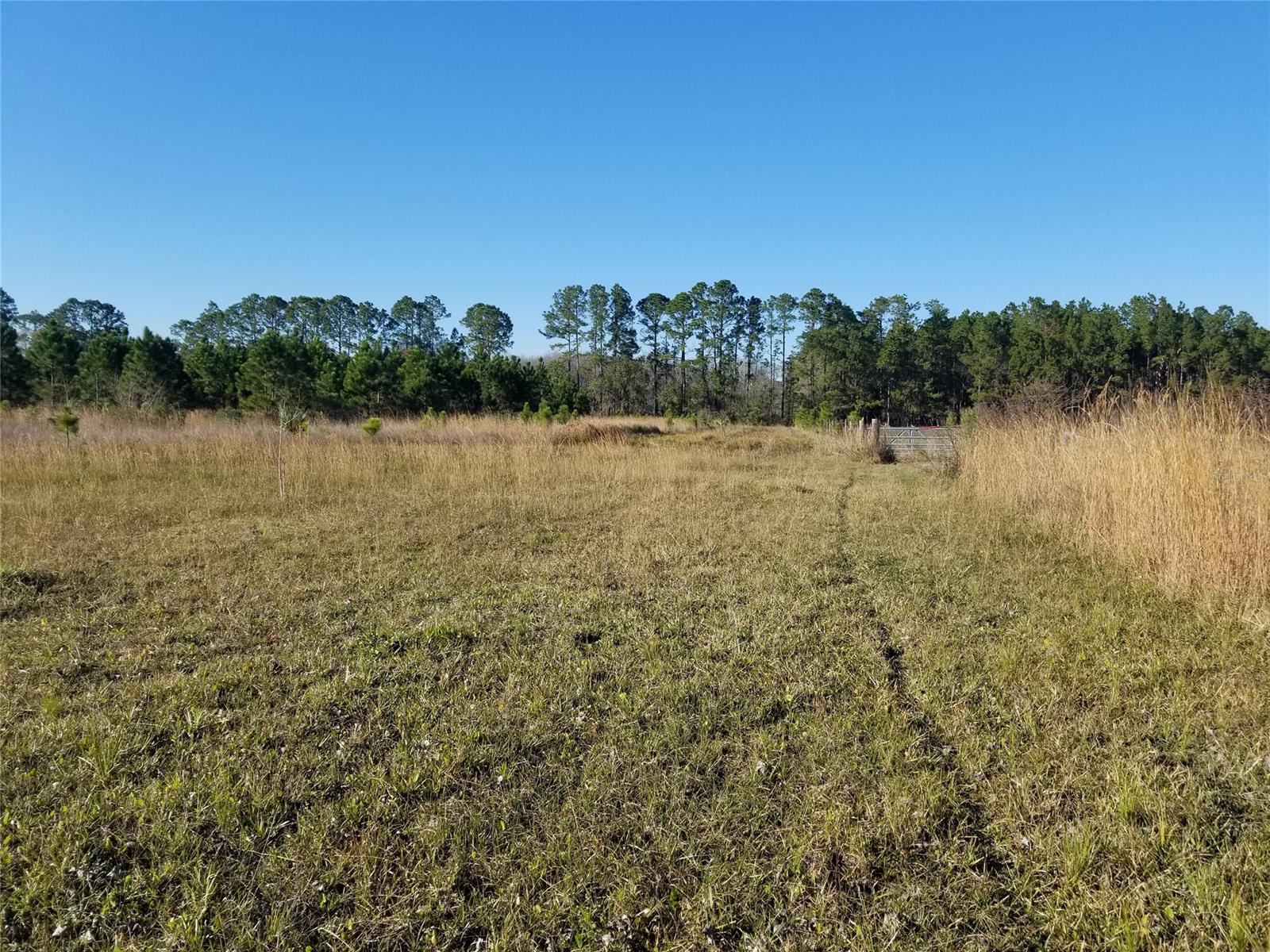 Howe & Curriers Allotment Sub - Land
