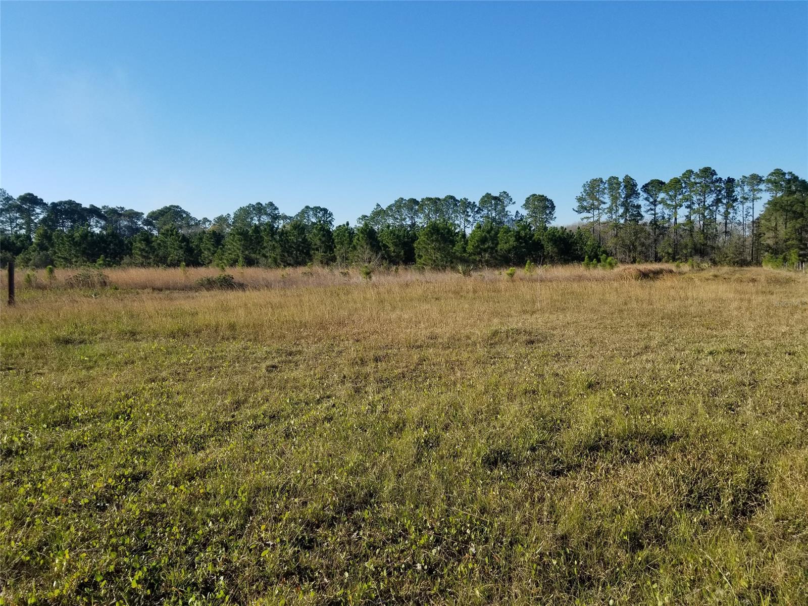 Howe & Curriers Allotment Sub - Land