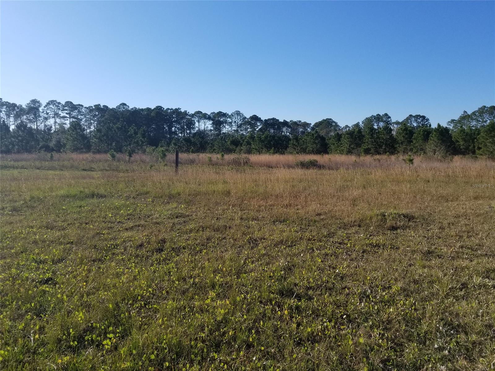 Howe & Curriers Allotment Sub - Land