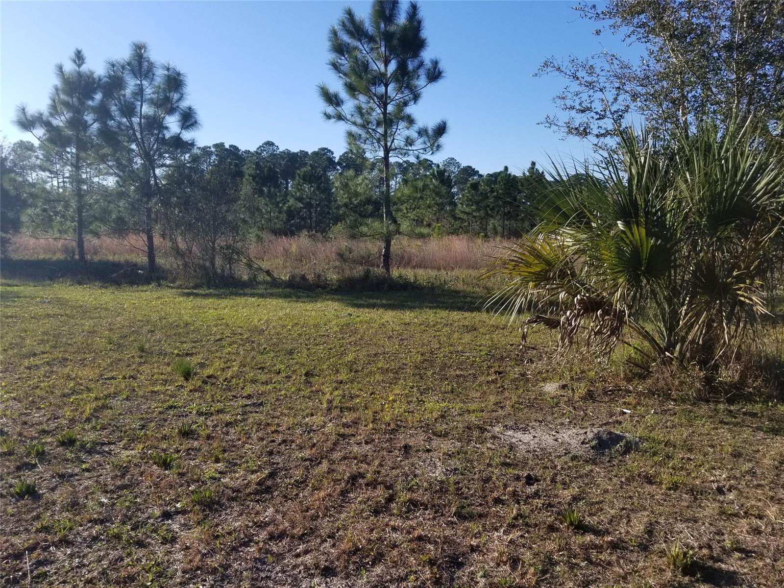 Howe & Curriers Allotment Sub - Land