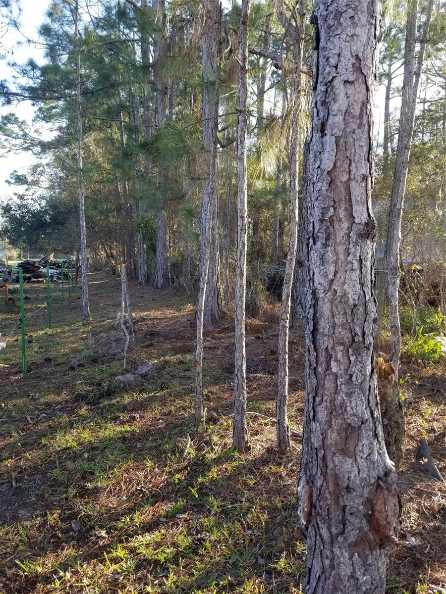 Howe & Curriers Allotment Sub - Land