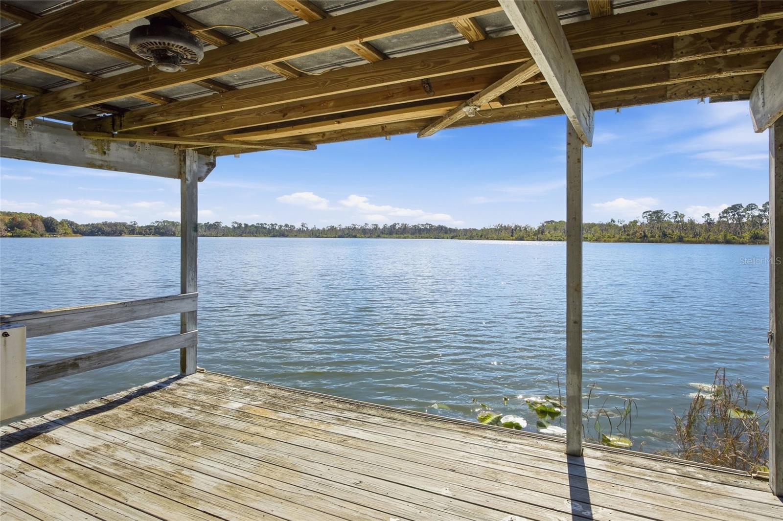 UMATILLA PALM COURT - Residential