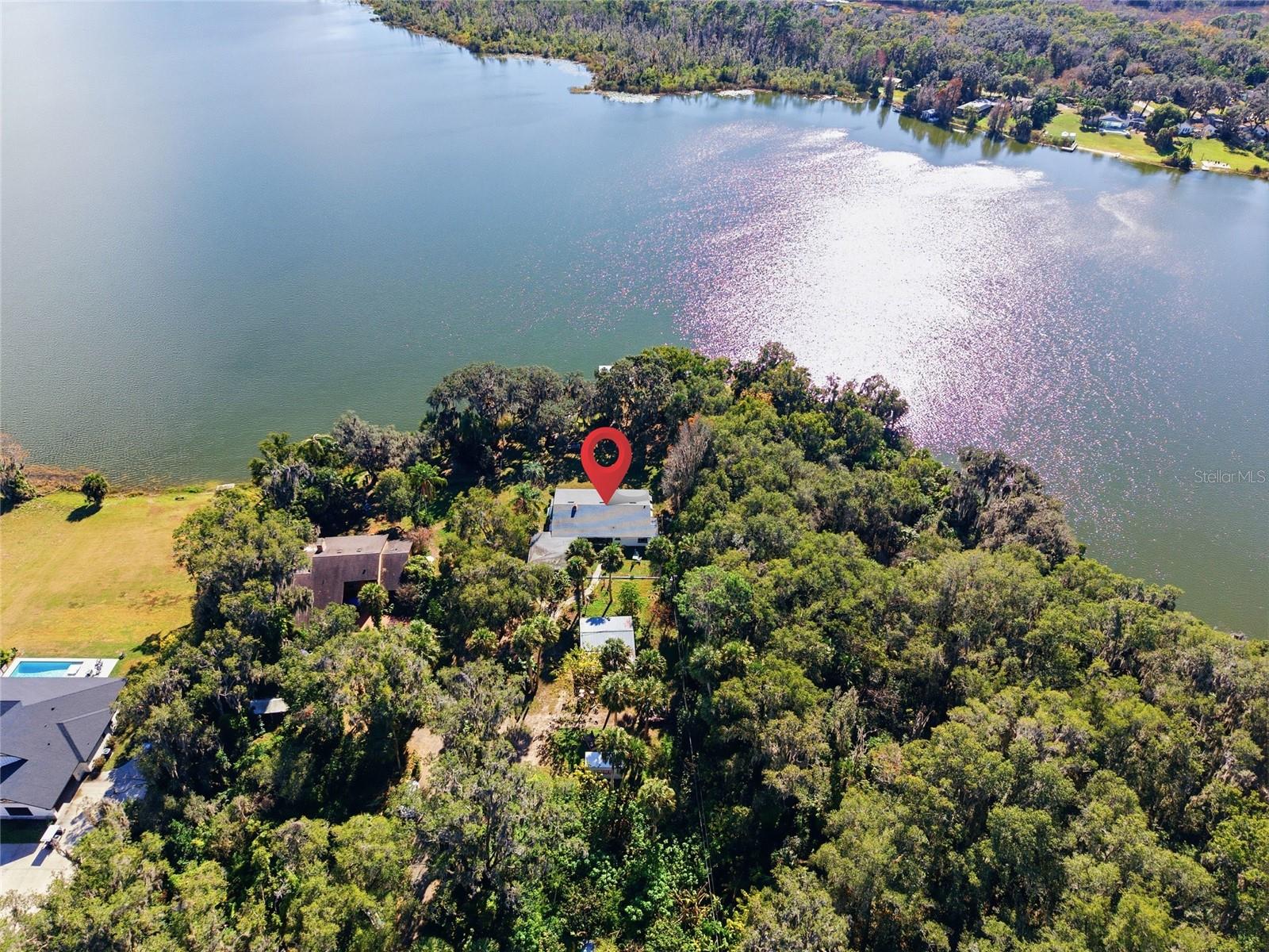 UMATILLA PALM COURT - Residential