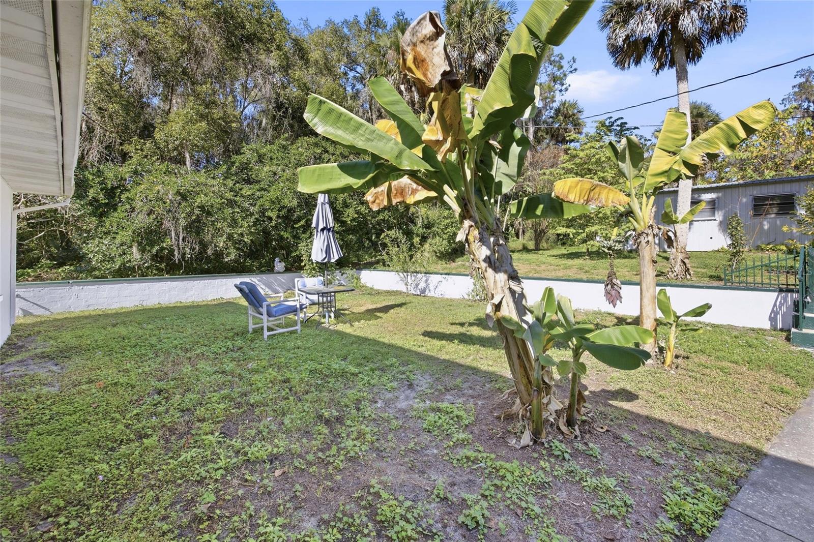 UMATILLA PALM COURT - Residential