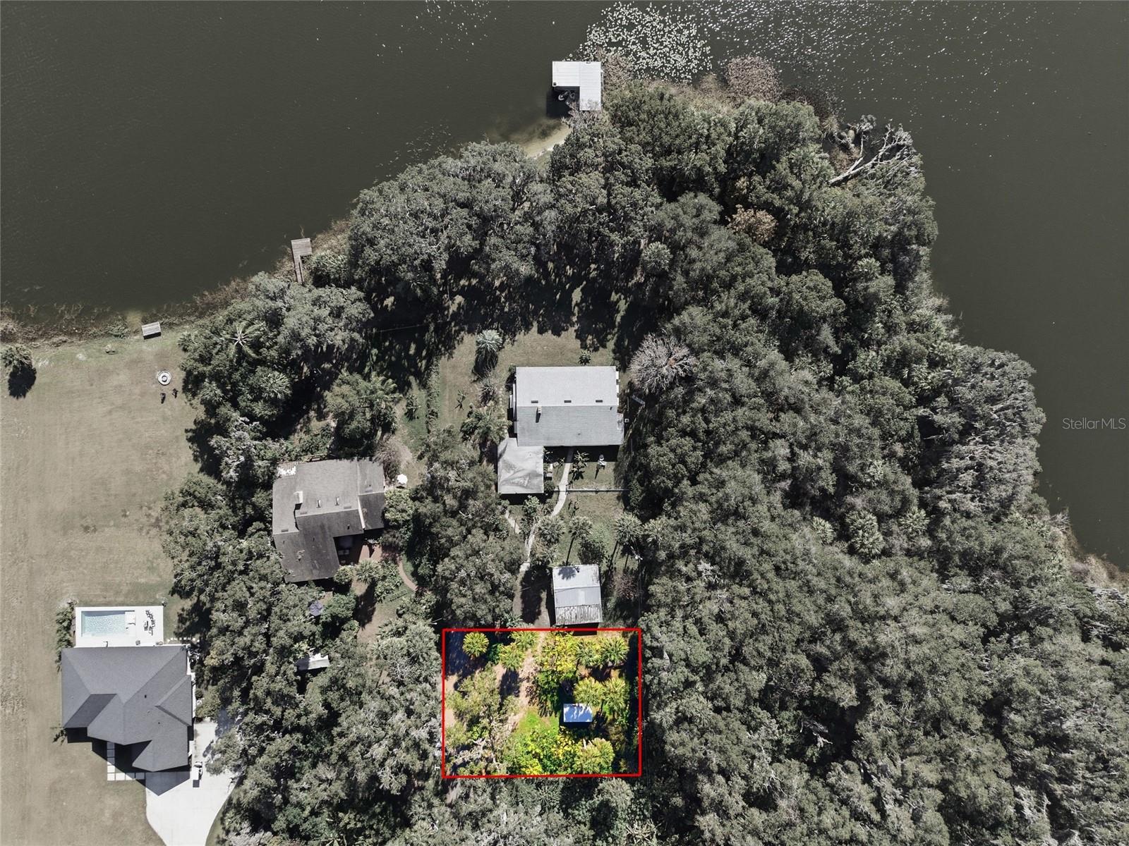 UMATILLA PALM COURT - Residential