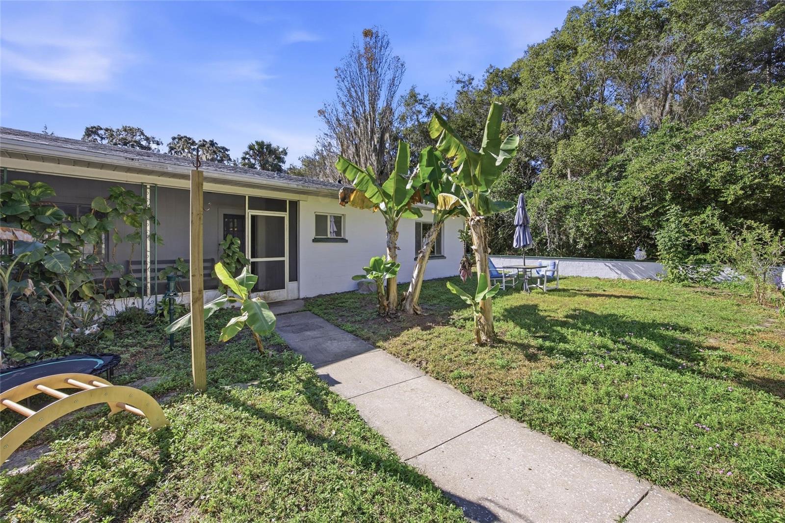 UMATILLA PALM COURT - Residential