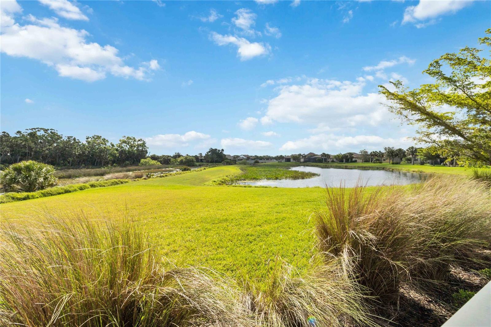 SANDHILL PRESERVE - Residential