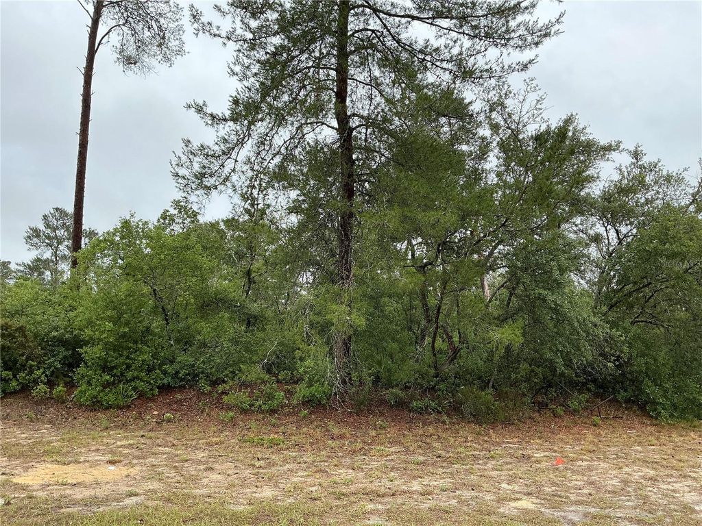 Photo of SW 20th Court, Ocala, FL 34473 (MLS # OM725161)
