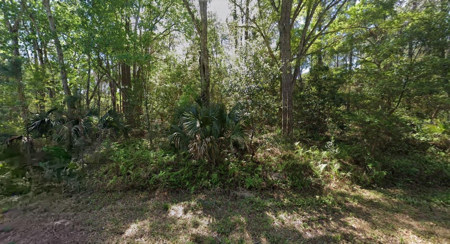 423 DOGWOOD AVENUE