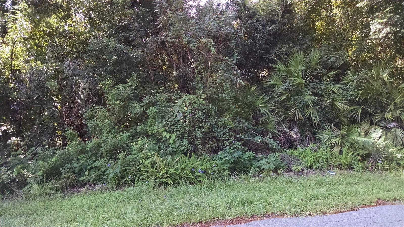 DELTONA LAKES UNIT 38 - Land