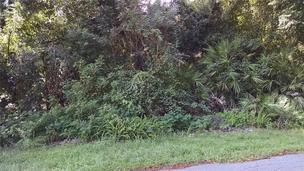 Photo of 1361 Howland Boulevard, Deltona, FL 32738 (MLS # R4911146)