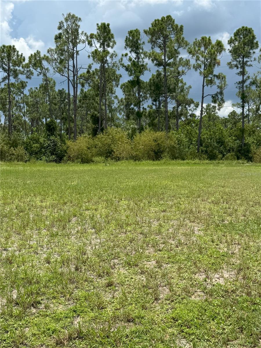 Your Dream Home Awaits—Nature at Your Doorstep
Picture your mornings sipping coffee to the sweet sound of birdsong, or catching glimpses of friendly Gopher Tortoises strolling past your porch. This flat, build-ready lot offers you the peaceful lifestyle you've been dreaming about—without sacrificing convenience. Utilities are already set up, meaning you're closer than ever to turning your vision into reality.
You'll become part of Burnt Store Village, a welcoming community filled with larger lots, a charming mix of brand-new homes and established neighbors, and an inviting sense of community. Enjoy relaxing afternoons at your neighborhood park, featuring a playground, basketball court, tranquil pond, and walking trail. Gather with new friends at the picturesque gazebo, where community events happen year-round.
Drive by today—see for yourself why this should be your new home sweet home.
Agent is related to Seller.