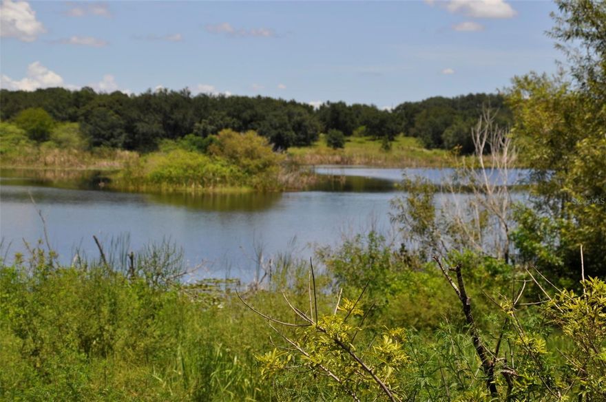 Located just off of US 27 in Dundee, FL. This location offers convenient access to several major roadways that make it ideal for both residents and businesses seeking connectivity throughout Central Florida. Most notably, U.S. Route 27 runs just west of the area, serving as a primary north-south corridor that connects Dundee to cities like Orlando to the north and Lake Wales to the south. Additionally, U.S. Routes 17 and 92 run through nearby Haines City, offering an alternative route to regional destinations such as Kissimmee and Winter Haven.

Located in the boundaries of the town of Dundee, Dundee Lakes is a beautiful new residential development located on Lake Trask in Polk County, Florida. There are 412 Single Family Lots that are fully approved, permitted, engineered and shovel ready. Water and Sewer are both at the property.

There is a great demand for residential housing in east Polk County and the Dundee area and its proximity to Orlando. Drive time from Dundee Lakes is only 60 minutes to downtown Orlando and 40 minutes to the area’s world-famous attractions.

This is an area that is growing rapidly and residential lots are in high demand.

412 shovel ready residential lots 
2600 ± feet of shoreline
Located inside of the boundaries of the town of Dundee
Beautiful new residential development located on Lake Trask in Polk County