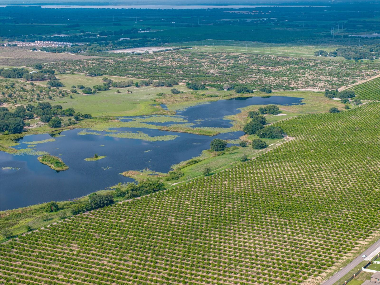 FLORIDA HIGHLANDS CO SUB - Land