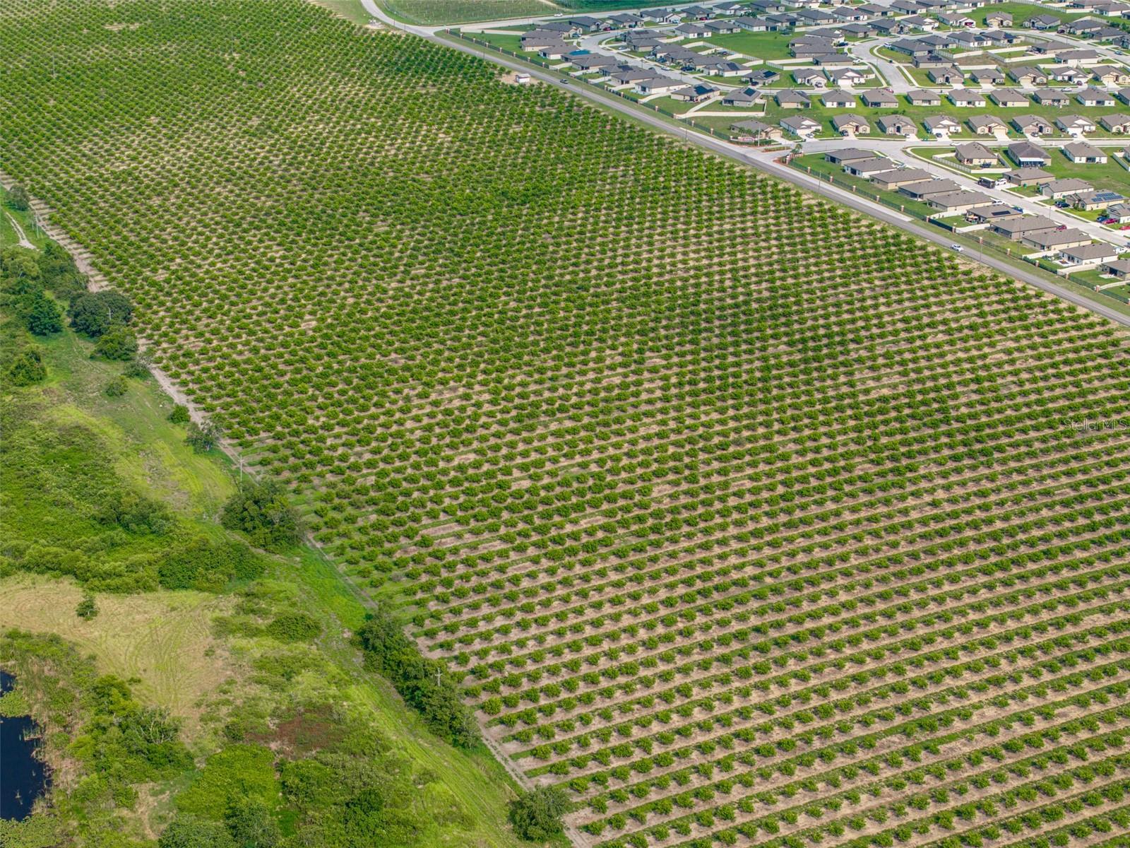FLORIDA HIGHLANDS CO SUB - Land