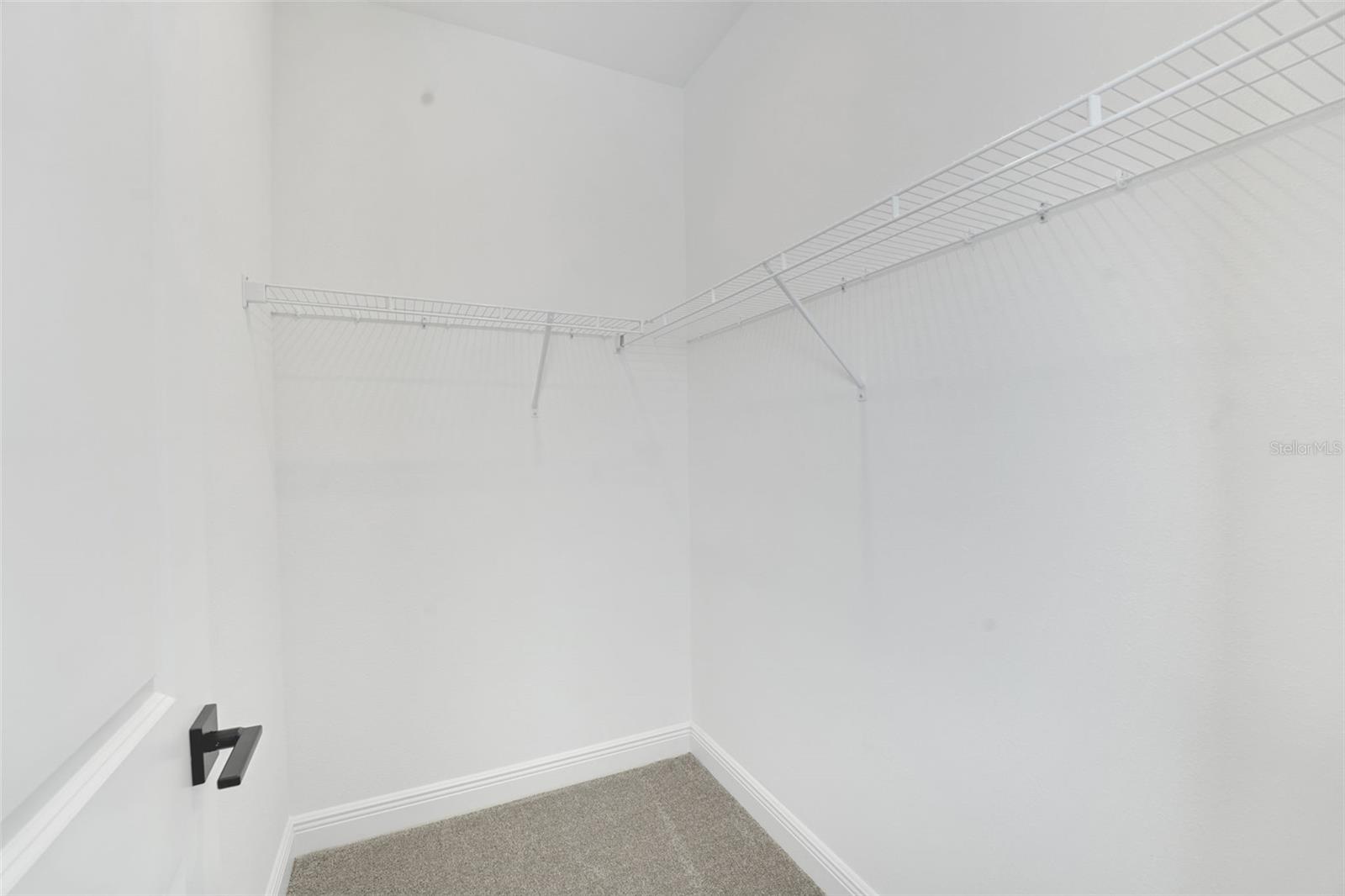 PALMS AT WINDERMERE - Residential