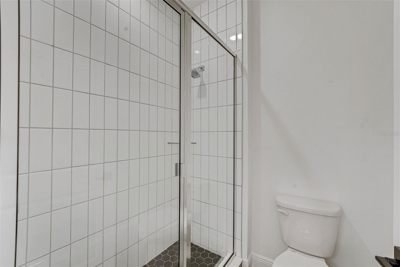 PALMS AT WINDERMERE - Residential