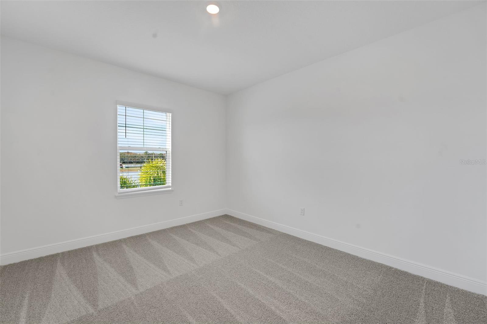 PALMS AT WINDERMERE - Residential