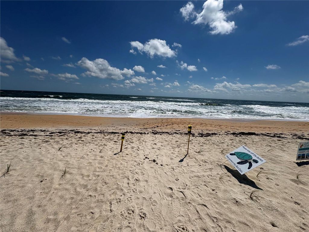 Photo of 16 Oceanside Drive, Palm Coast, FL 32137 (MLS # TB8505410)