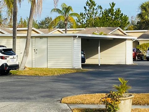 A home in DUNEDIN