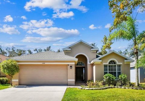 A home in TAMPA