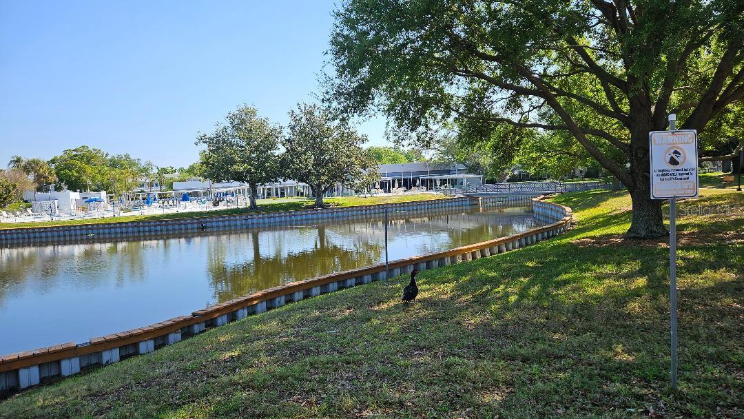 SEMINOLE GARDEN APTS CO-OP - Residential