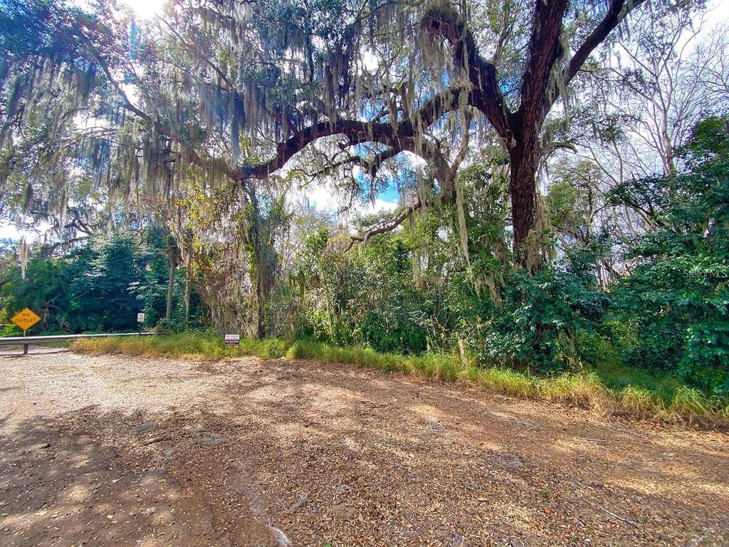 Photo of 3rd St, Montverde, FL 34756 (MLS # G5107895)