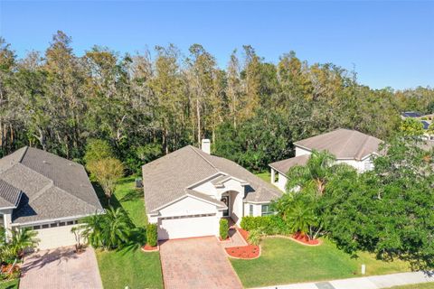 A home in OLDSMAR