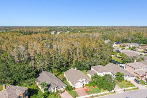 A home in OLDSMAR