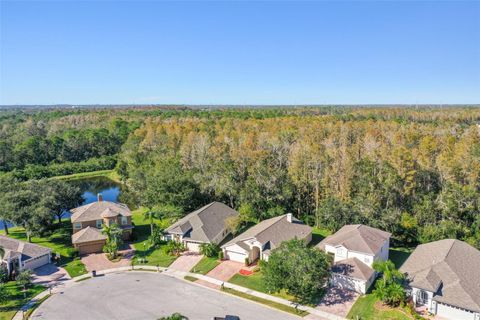 A home in OLDSMAR