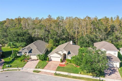 A home in OLDSMAR