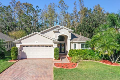 A home in OLDSMAR