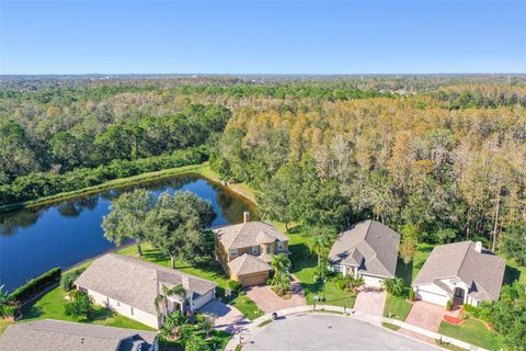 A home in OLDSMAR