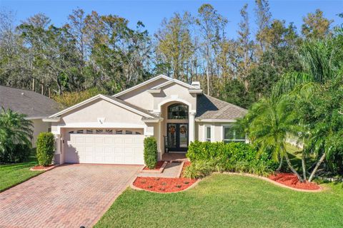 A home in OLDSMAR