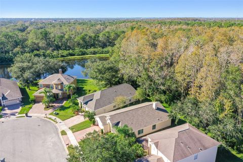 A home in OLDSMAR