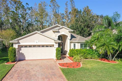 A home in OLDSMAR