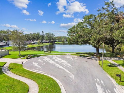 A home in TAMPA