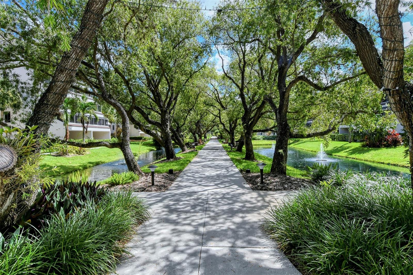 EXCELSIOR BEACH TO BAY 2 - Residential