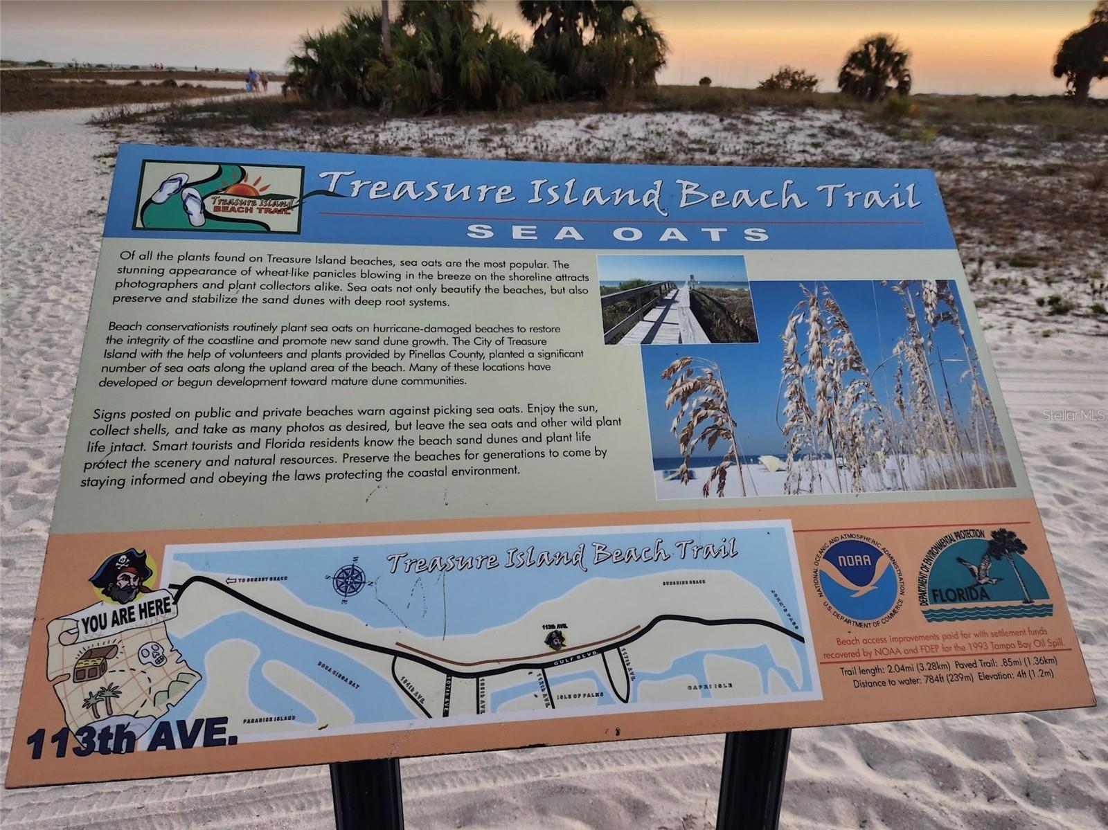 PARADISE ISLAND 1ST ADD - Land