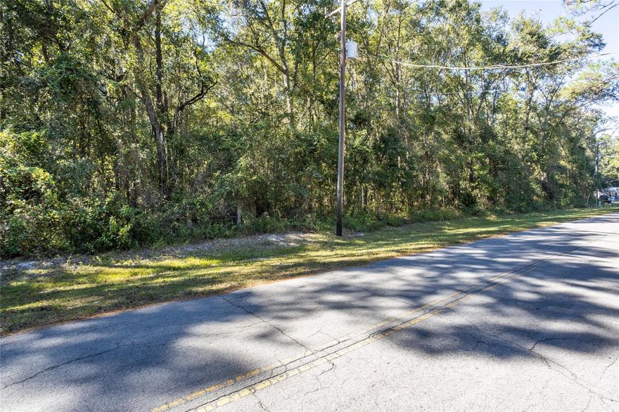 Discover 3.65 high and dry acres nestled in a quiet neighborhood right in the heart of downtown Lake Butler. With frontage on SE 5th Avenue and this property borders the scenic Palatka-Lake Butler State Trail, perfect for outdoor enthusiasts. Located directly east of Lake Butler Middle School and within an Opportunity Zone, this parcel offers great potential for residential development or future investment. Don’t miss this unique opportunity to own land with both convenience and upside.