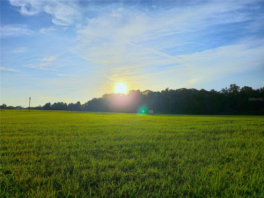 Photo of 0 Lange Farm Road, Dade City, FL 33525 (MLS # TB8333076)