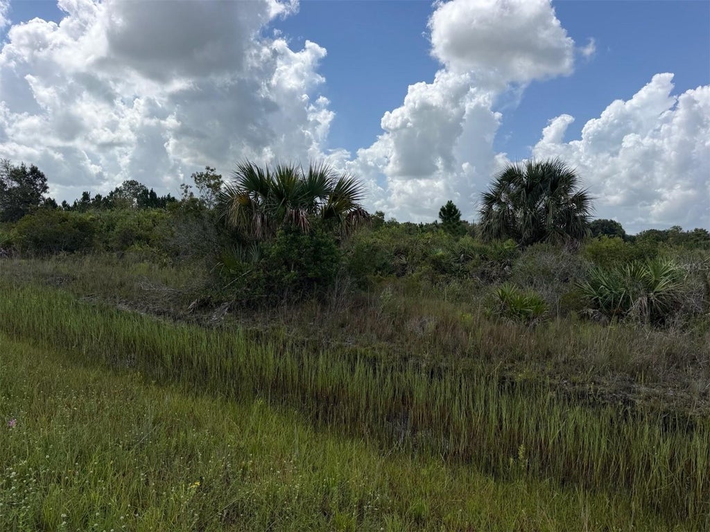 Photo of 16474 NW 258th Street, Okeechobee, FL 34972 (MLS # C7529915)