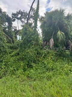 PORT CHARLOTTE SUB 33 - Land